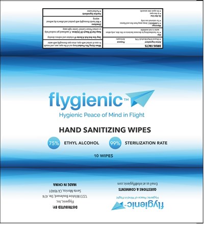 Label Image (Hand Sanitizing Wipes 75 Vv 10 Pcs)